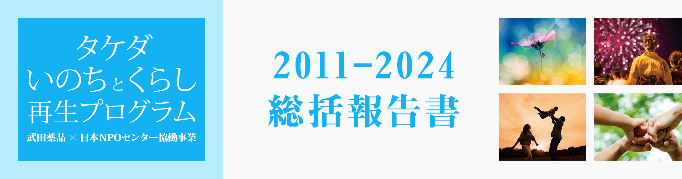 総括報告書 2011-2024